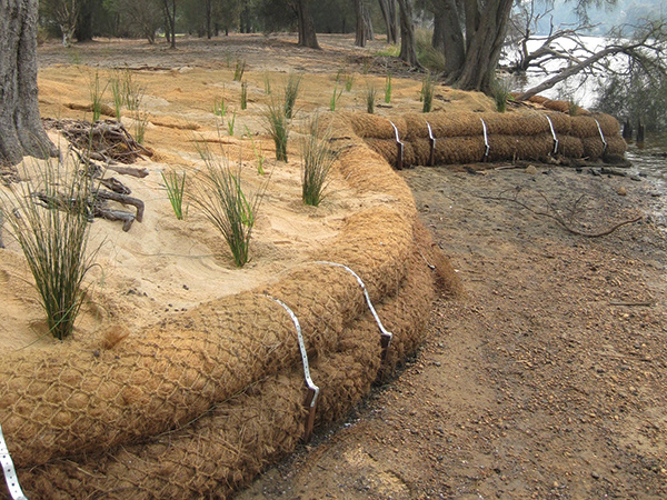 coir-log-control-river-shore