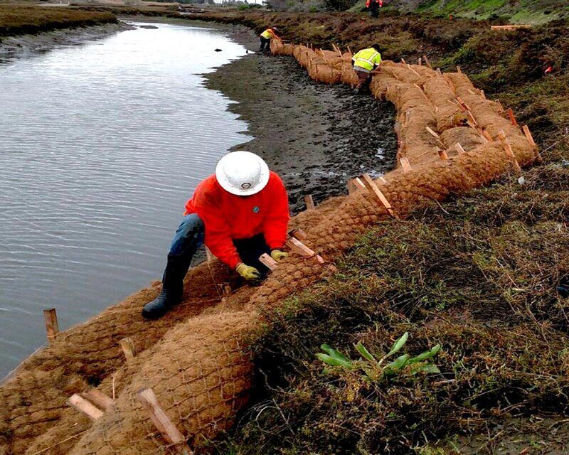 coir-log-installation-800x800-1