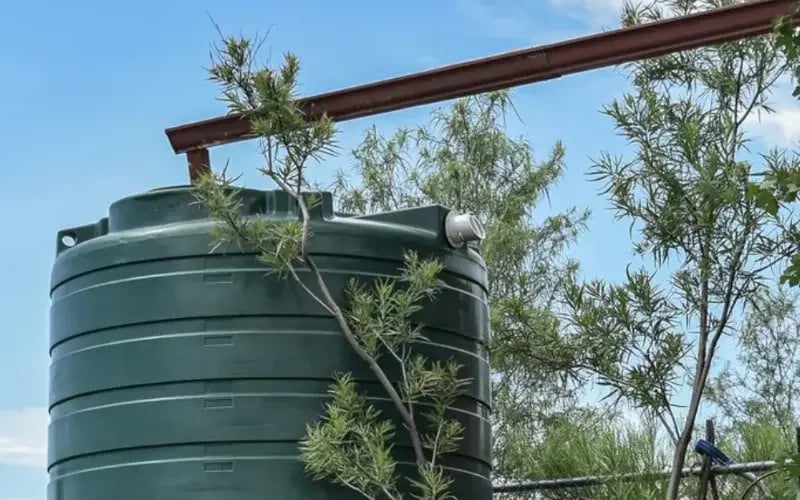 rainwater-collection-poly-800x500