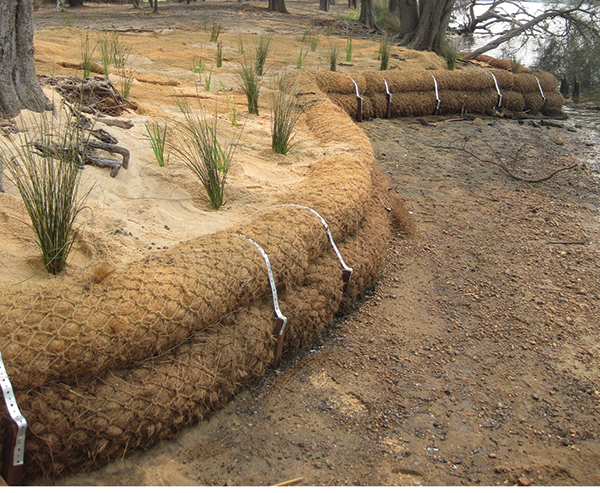 coir logs for sediment control on shore