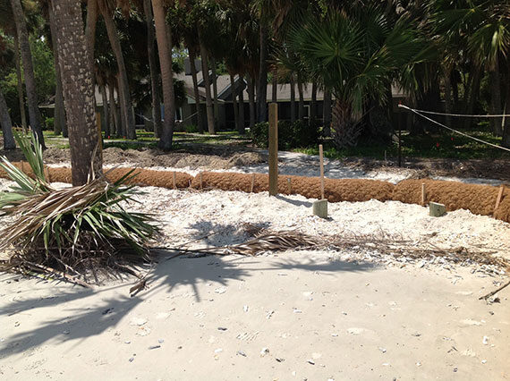 coir log installation along the beach.