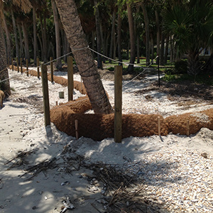 coir-log-along-beach