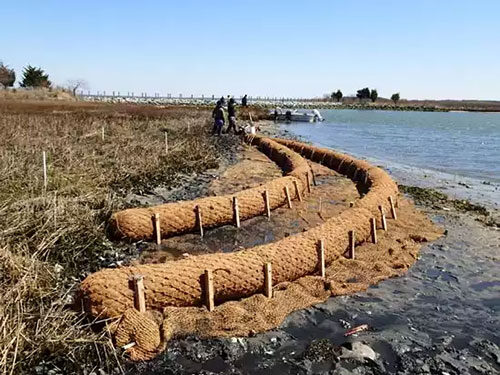 double coir log install on shore