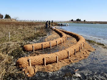 coir-log-install