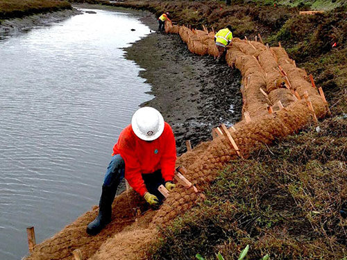 coir log slope installation along stream