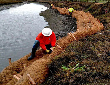 Workers installing coir logs along a stream bank for erosion control, using wooden stakes for securing the logs.